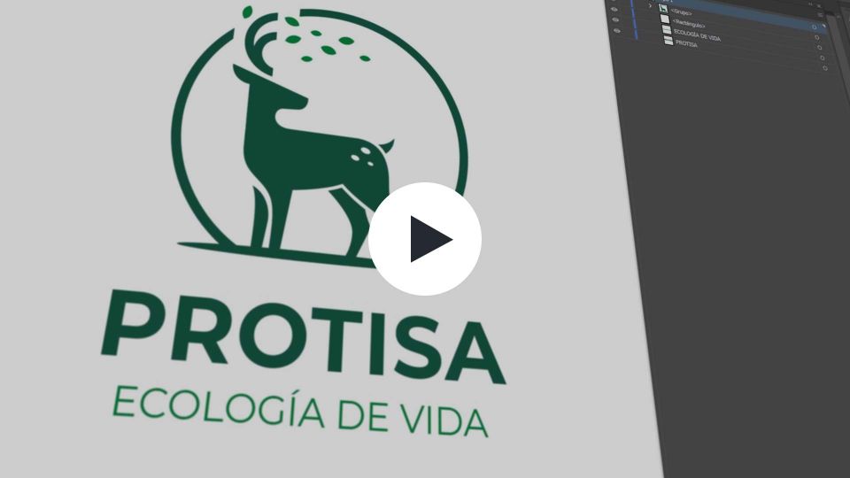 escuadra comunicacion historia protisa